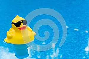 Rubber Duck on Blue