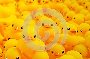 Rubber duck