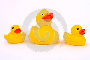 Rubber duck with ducklings