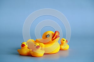 rubber duck with ducklings on a blue.