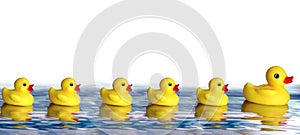 Rubber Duck Family