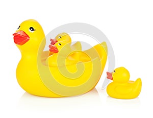 Rubber duck family