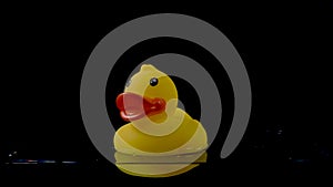 Rubber duck float on the surface of the water on a black background