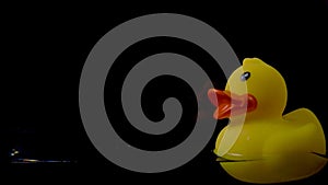 Rubber duck float on the surface of the water on a black background