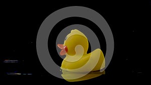 Rubber duck float on the surface of the water on a black background