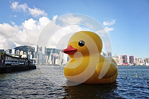 Rubber Duck photo