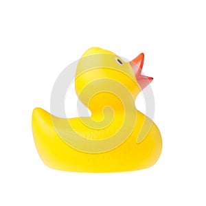 Rubber duck isolated photo