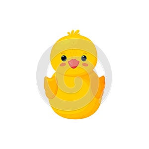 Rubber duck isolated in white background. Front view of yellow plastic duck toy. Vector illustration