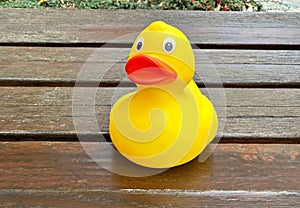 Rubber duck outdoor on a bench