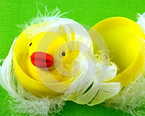 Rubber duck in plastic egg