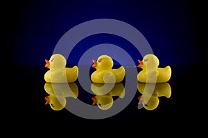 Rubber Duck Row with Reflection 2 photo