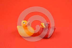 Rubber duck stock images