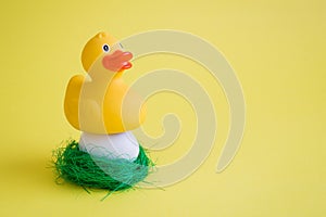 Rubber duck taking care of her egg in nest abstract