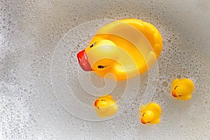a rubber duck with three ducklings swims in the foam. View from above