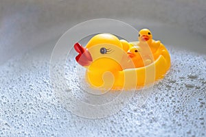 a rubber duck with three ducklings swims in the foam. View from above