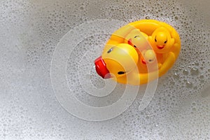 a rubber duck with three ducklings swims in the foam. View from above