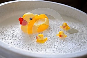 a rubber duck with three ducklings swims in the foam. View from above