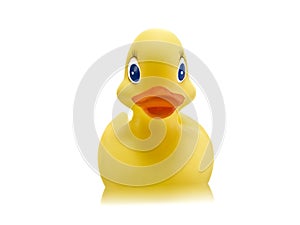 Rubber duck toy