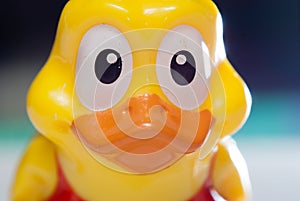 Rubber duck toy