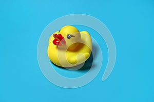 rubber duck toy for the bathroom on a blue background