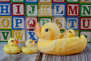 Rubber duck toy in front of letter wood block
