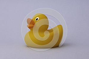 Rubber duck toy isolated on a white background