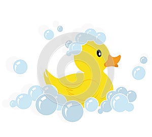 Rubber duck vector