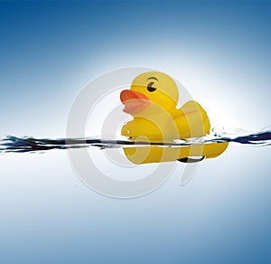 Rubber duck in water photo