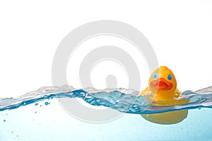 Rubber Duck in Water