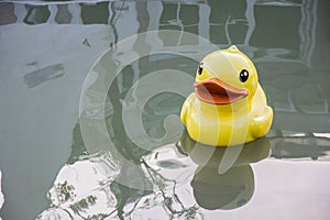 Rubber duck in water photo