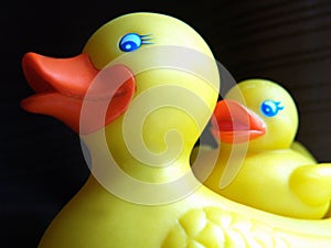 Rubber duckie