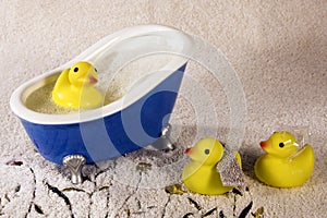 Rubber Duckies