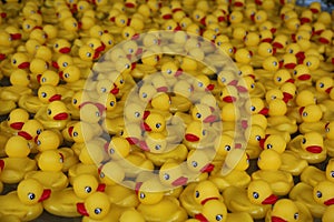 Rubber Duckies