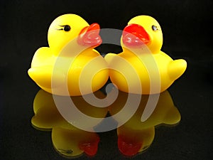 Rubber Duckies