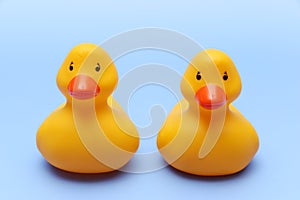 Rubber Duckies