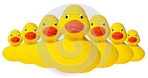 Rubber duckies fleet photo
