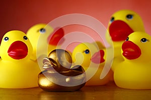 Rubber duckies and golden rubber duckling