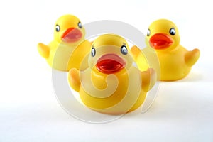 Rubber Ducklings