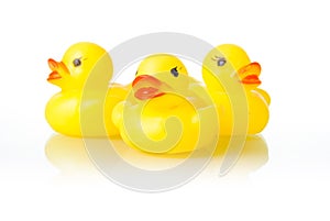 Rubber ducklings