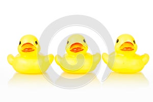 Rubber ducklings