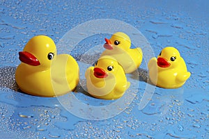 Rubber Ducks photo