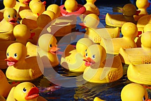 Rubber Ducks