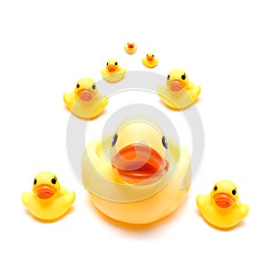 Rubber ducks