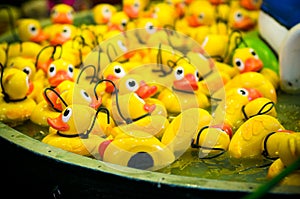 Rubber ducks