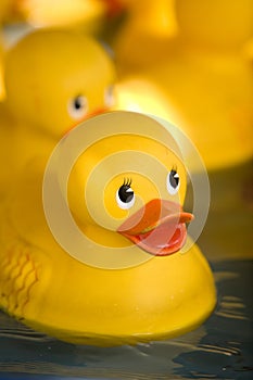 Rubber Ducks 5
