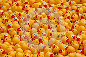 Rubber Ducks en Masse