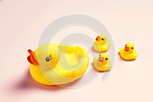 Rubber ducks family on a pink background