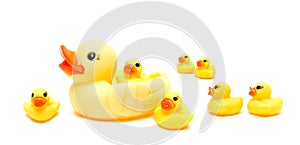 Rubber ducks isolated on white background