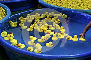 Rubber Ducks in Kiddie Pools