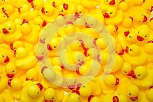 Rubber Ducks